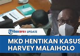 Dpr Stop Kasus Harvey Malaiholo Sekarang